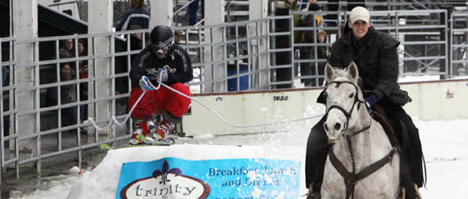 skijoringslide_new